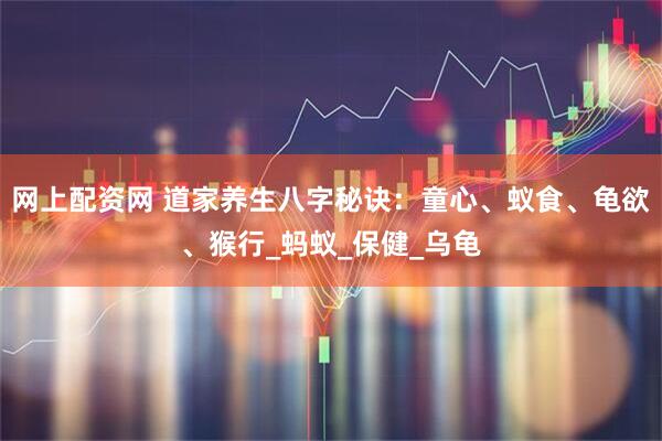 网上配资网 道家养生八字秘诀：童心、蚁食、龟欲、猴行_蚂蚁_保健_乌龟