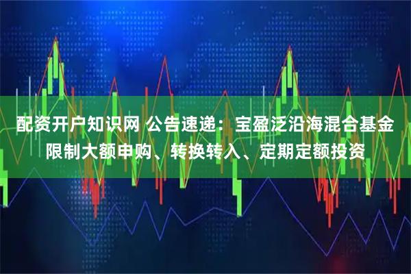 配资开户知识网 公告速递：宝盈泛沿海混合基金限制大额申购、转换转入、定期定额投资